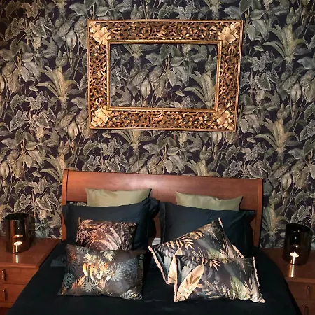 公寓 Sopocka Oaza 索波特