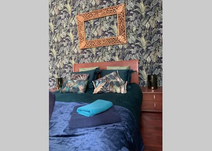 公寓 Sopocka Oaza 索波特