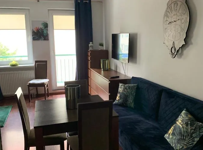 Sopocka Oaza 公寓 索波特