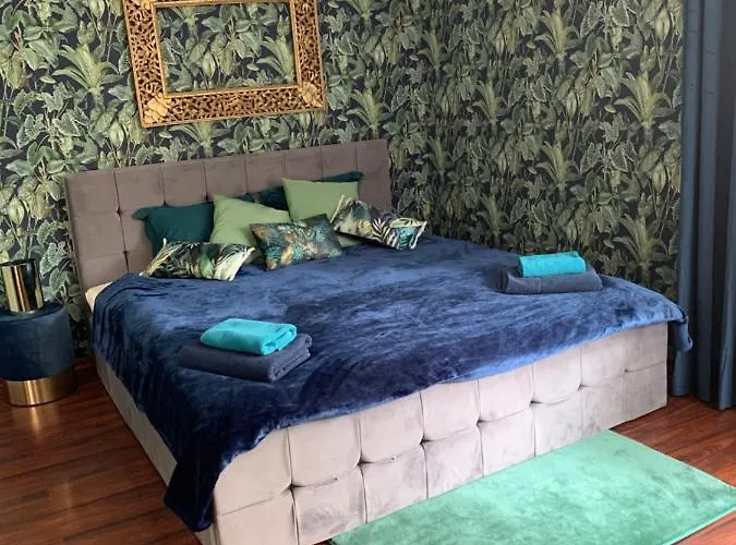 Sopocka Oaza 公寓 索波特