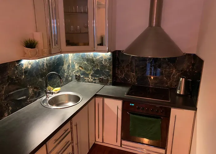 公寓 Sopocka Oaza 索波特